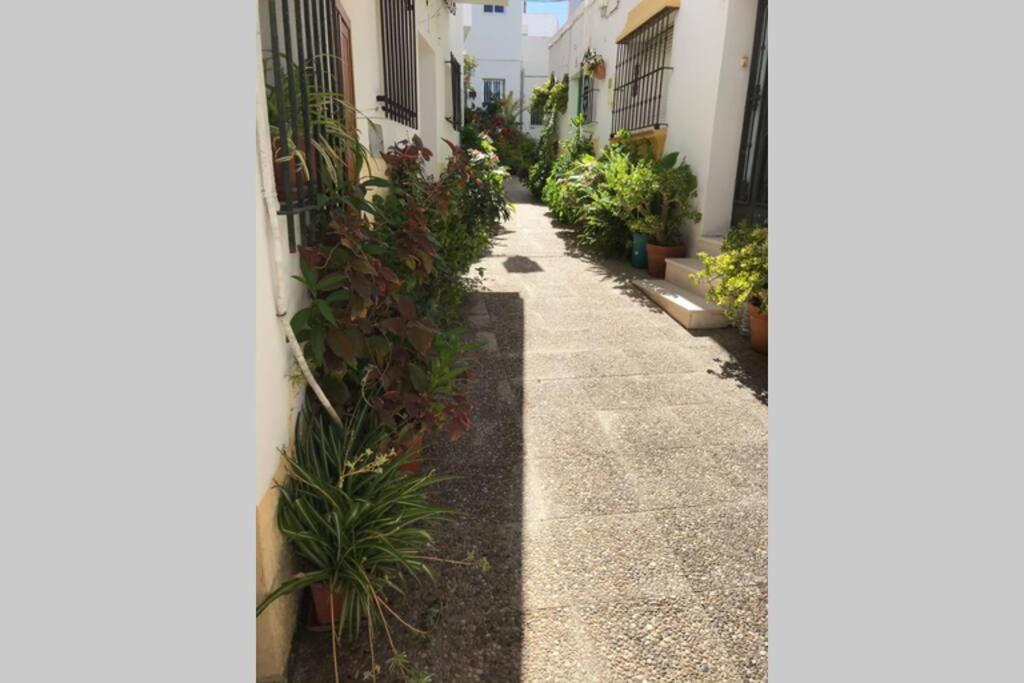 Apartamento Con Azotea Privada Para Parejas Y Familias コニル・デ・ラ・フロンテラ エクステリア 写真